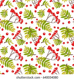 Rowan seamless pattern. Rowan-berries and leafs ornament.