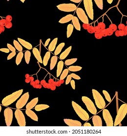 Patrón sin costuras de Rowan. Ilustración de material vectorial. Bayas rojas brillantes. Hojas amarillas. Fondo otoñal para impresión.