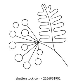 Rowan Tree Branch With Leaves And Berries. Sketch Of Mountain Ash Berries. Hand Draw Vector Illustration Rowanberry In Cartoon Doodle Style. Black Lines Isolated On A White Background. Contour Drawing