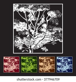 Rowan tree. Vector illustration, hand drawing. Black background.