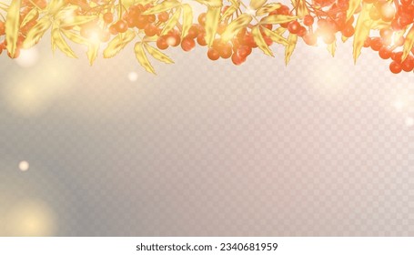 Rowan twigs with berries, yellow-orange autumn leaves colorful ornament for design and illustrations. Vector