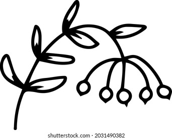 Rowan vector branch with leaves and berries yellow and pink. Minimalistic botanical illustration, hand drawing
