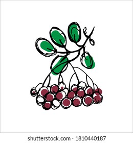 Rowan, vector en estilo de contorno. Ingredientes orgánicos naturales, comida para vegetarianos y menú vegano. Elemento de diseño, logotipo, impresión, pegatina.