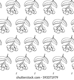 rowan vector pattern