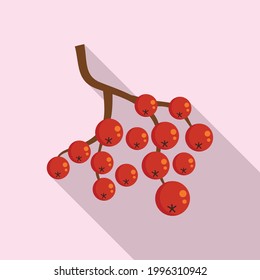 Rowan vitamin icon. Flat illustration of Rowan vitamin vector icon for web design