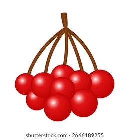 Rowanberry 3d icon. Vector clipart isolated on white background. 
