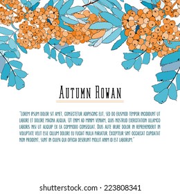 Rowan-berry background for text, cool colors, hand drawn