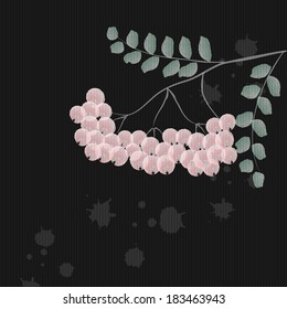 rowanberry branch
