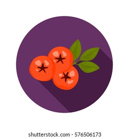 Rowanberry color icon. Cartoon style for web and mobile design