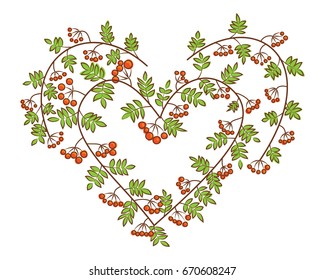 Rowan-berry in heart shape vector illustration. Branches with green leaves and orange berries. Autumn love composition.