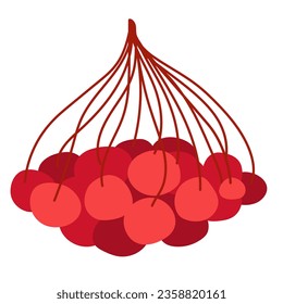 Icono de Rowanberry. Clipart vector aislado en fondo blanco.
