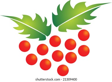 rowanberry vector