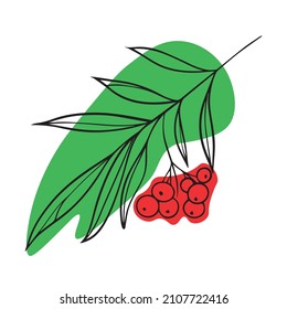 rowanberry vector graphic design illustration, icon, art tattoo sketch, hand draw, print use