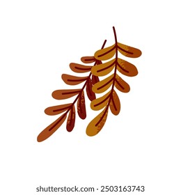 Rowan's leaves in hand drawn style. Dry tree foliage in autumn season. Autumnal twigs with leafage icon. Decoration element with fall nature. Flat isolated vector illustration on white background