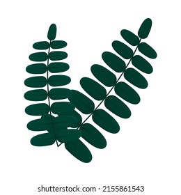rown leaves on white background