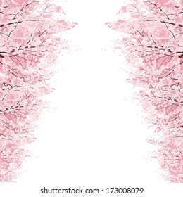 Rows of Beautiful Cherry Blossom trees.File contains Clipping mask, Gradients.