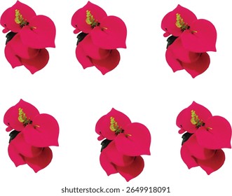 As fileiras de flores são muito bonitas.