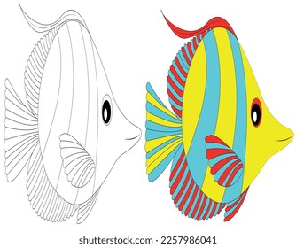The royal angelfish or regal angelfish Vector illustration.