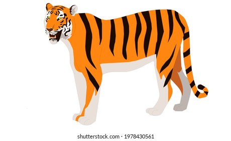 Royal Bengal Tiger - illustration