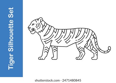 Royal Bengal Tiger with vector collection. 