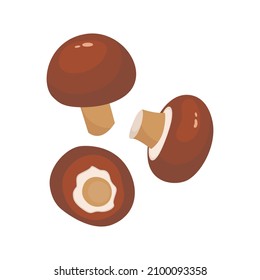 Royal Brown champignon isolated on white background. Champignon culinary ingredient design element. Omega source in cartoon style.
