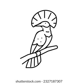 royal flycatcher bird exotic line icon vector. royal flycatcher bird exotic sign. isolated contour symbol black illustration