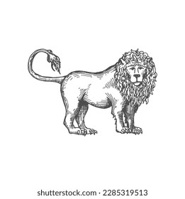 Icono real de esbozo de león heráldico. Rey vectorial de los animales, símbolo de coraje y fuerza. Majestic leo, gato africano furioso, criatura mitológica