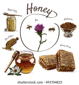 Royal jelly, bee pollen, honey comb, ambrosia and honey colorful illustration. Vector colorful illustration of honey