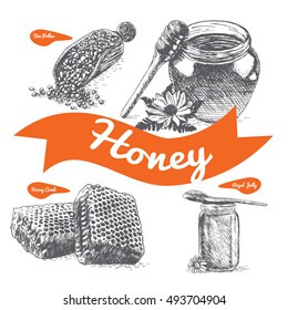 Royal jelly, bee pollen, honey comb and honey illustration. Vector illustration of honey