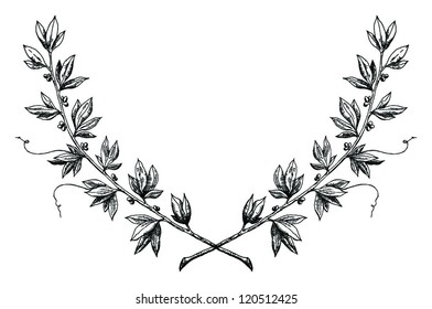 Royal laurel wreath vector