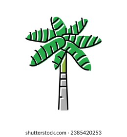 royal palm tree color icon vector. royal palm tree sign. isolated symbol illustration