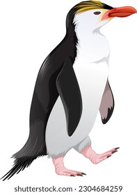 Royal Penguin on White Background illustration