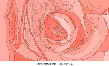 Royal pink rose. Flower pattern