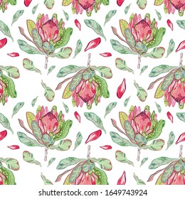 Flor real de protea sin fisuras para impresión en papel textil, papel, papel pintado. Ilustración vectorial.