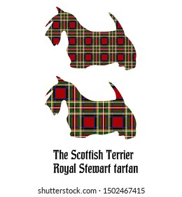Royal Stewart tartan Silhouette of Scottish Terrier 