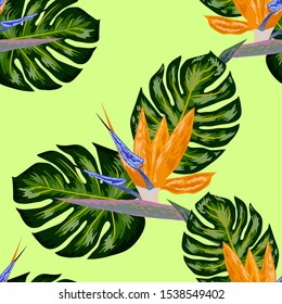 Royal Strelitzia. Tropical flowers, bird of paradise flower. Beautiful seamless floral jungle pattern background, exotic print