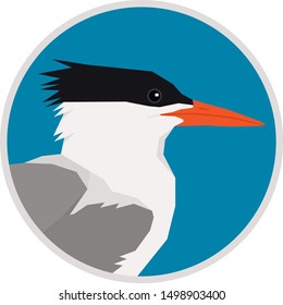 Royal Tern bird Vector illustration Round frame set