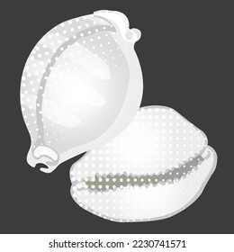 royalty free beautiful seashell image.