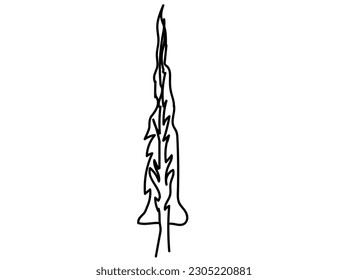royalty free vector graphics and clipart matching Pine Tree. stock photos,   images, vectors .Vector collection of trees in the style of minimalist design and unique shape.