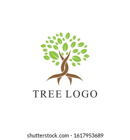 Royalty-free tree logo design template