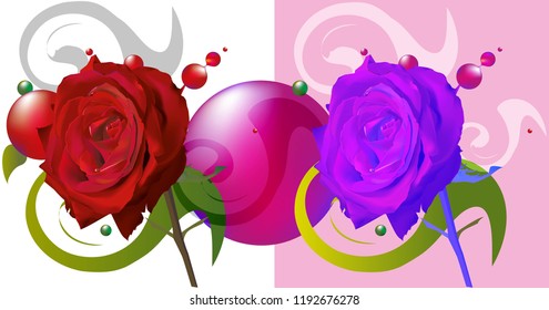 roza, nature, flower