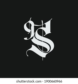 RS Initial logo. monogram logo vector illustration