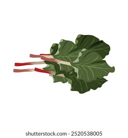 rubarb translated as Garden rhubarb 