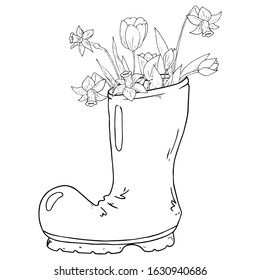 Rubber boot with tulips and daffodils icon. Vector illustration of spring flowers in a rubber boot. Hand drawn daffodil and tulips in a garden boot.