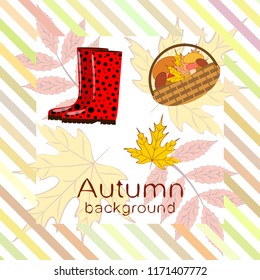 rubber boots fallen leaf basket mushroom autumnal vector background