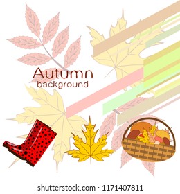 rubber boots fallen leaf basket mushroom autumnal vector background