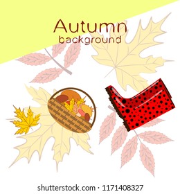 rubber boots fallen leaf basket mushroom autumnal vector background