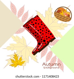 rubber boots fallen leaf basket mushroom autumnal vector background