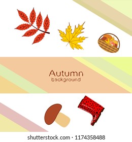 rubber boots fallen leaf basket mushroom autumnal vector background