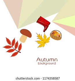 rubber boots fallen leaf basket mushroom autumnal vector background